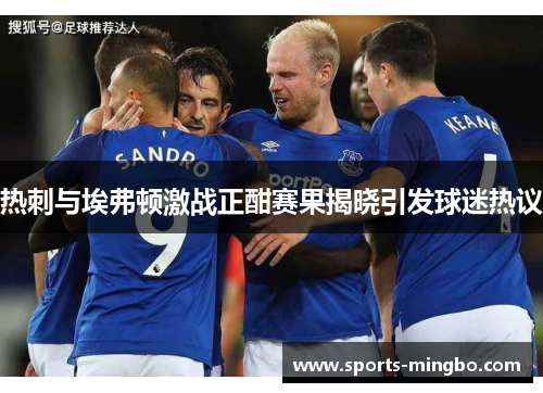 热刺与埃弗顿激战正酣赛果揭晓引发球迷热议